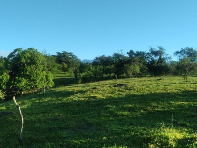 Terreno venta en Bugaba
