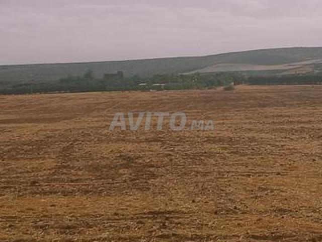 Propriété vente à Ain Taoujdat