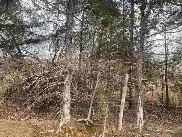 Land for sale in Tennessee