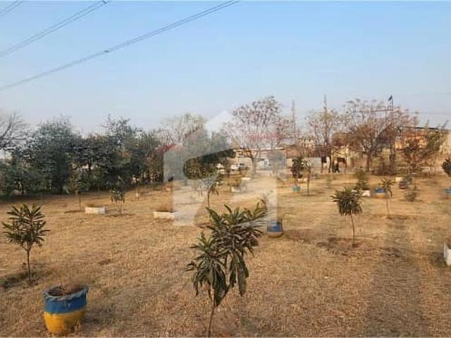 Building for rent in Islamabad