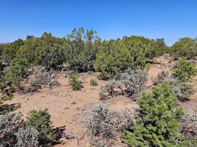 Land for sale in New Mexico