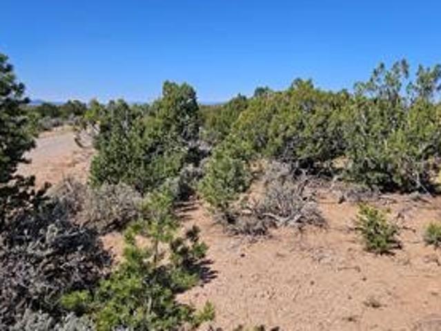 Land for sale in Chimayo, Santa Fe County