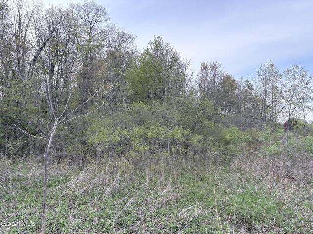 Land for sale in Colonie, New York