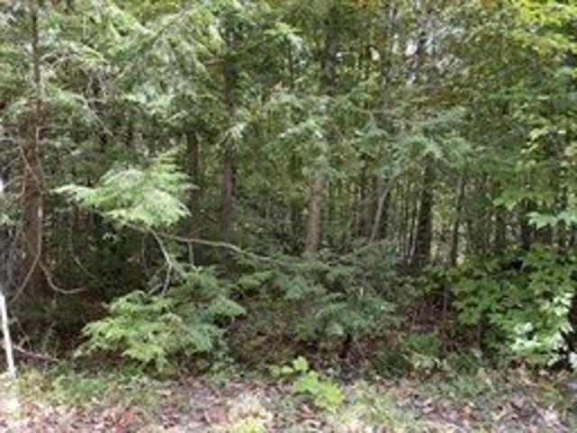 Land for sale in Berkshire, Massachusetts
