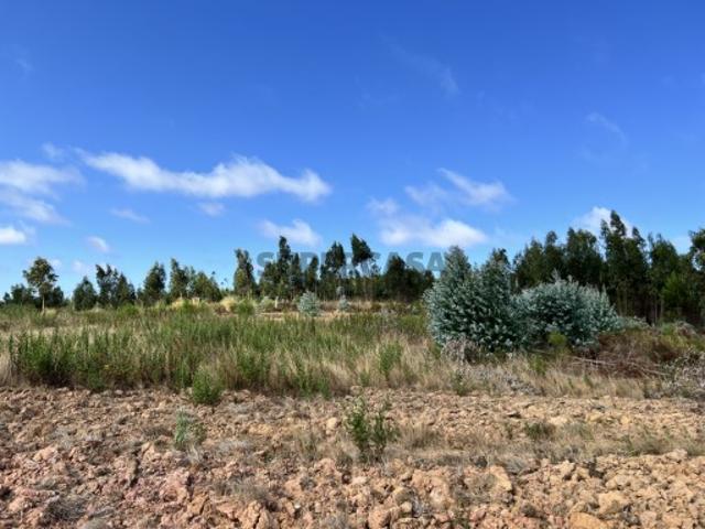 Terreno venda em Olho Polido, Torres Vedras