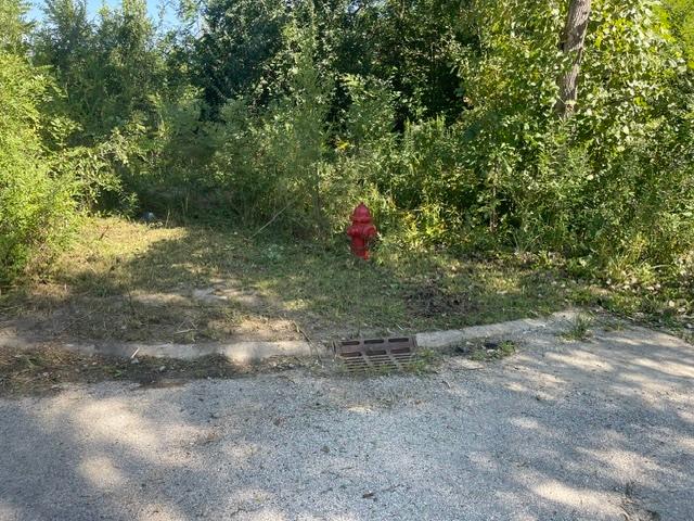 Land for sale in Braidwood, Will County