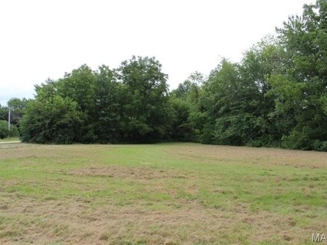 Land for sale in Bellflower, Missouri