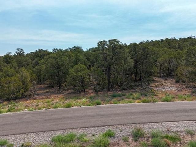 Land for sale in Placitas, New Mexico