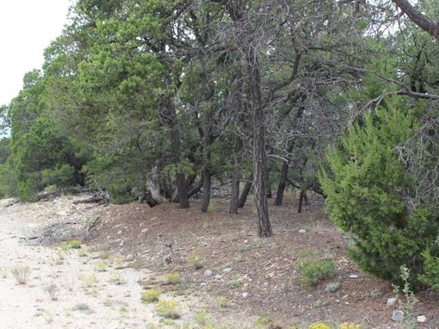 Land for sale in Tijeras, Bernalillo County