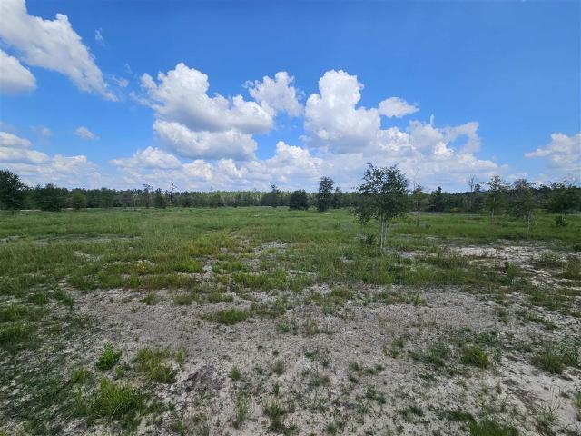 Land for sale in Dequincy, Louisiana