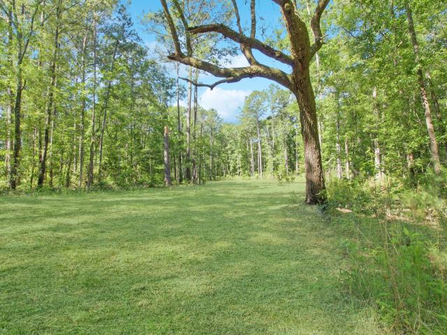 Land for sale in Awendaw, South Carolina