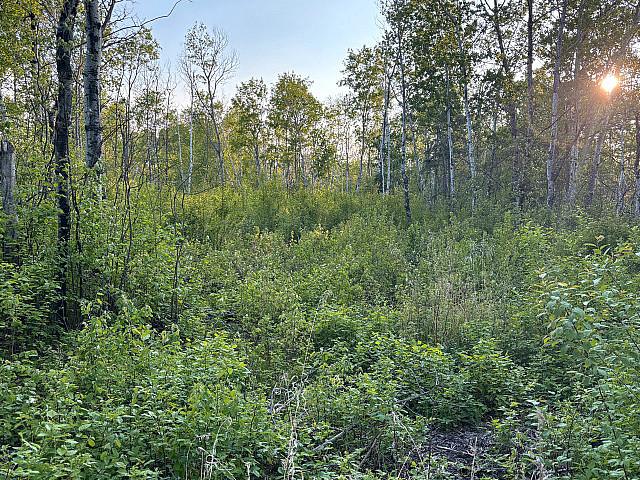 Land for sale in Manitoba