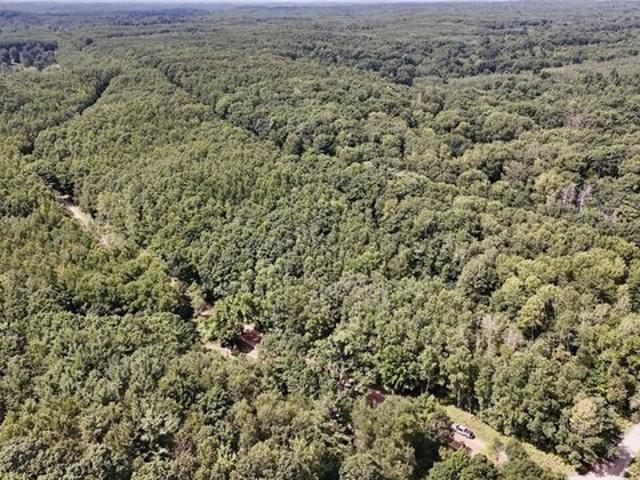 Land for sale in Evart, Michigan
