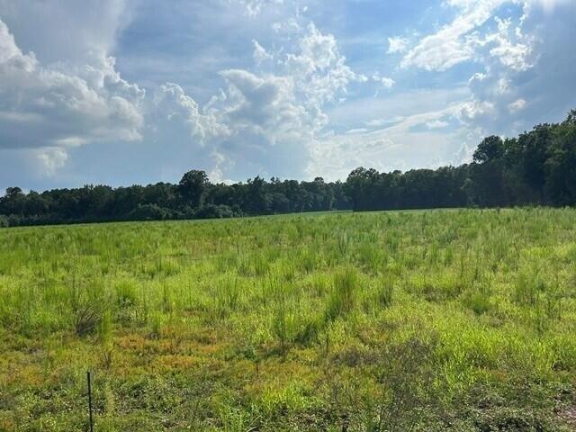 Land for sale in Harleyville, South Carolina