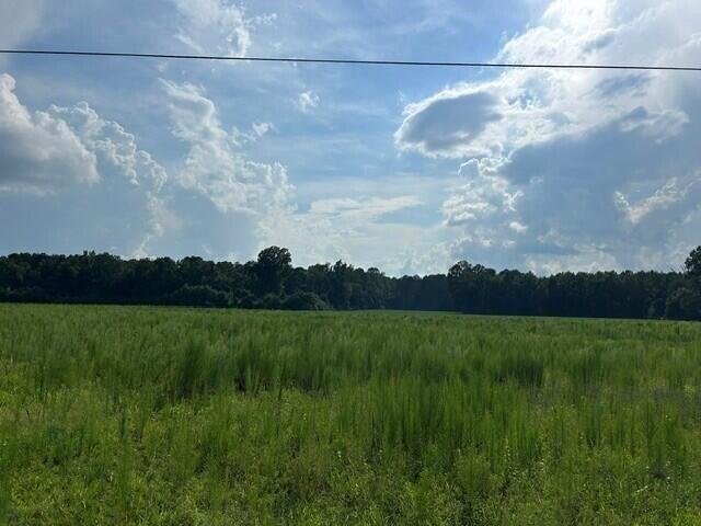Land for sale in Harleyville, South Carolina