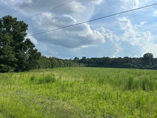 Land for sale in Harleyville, South Carolina