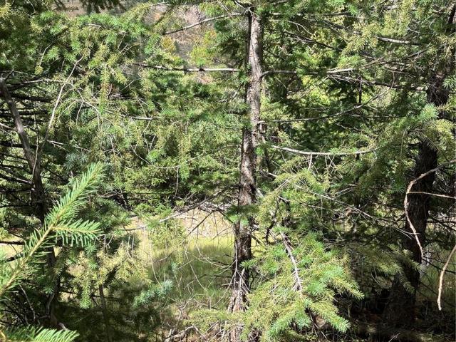 Land for sale in Black Hawk, Colorado