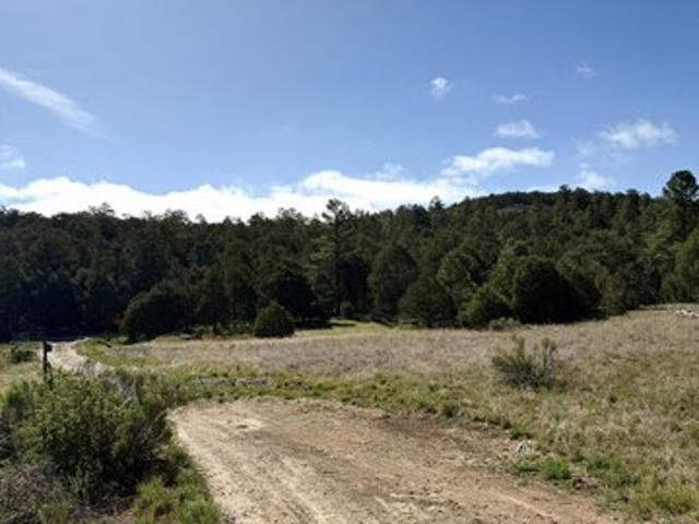 Land for sale in Placitas, New Mexico