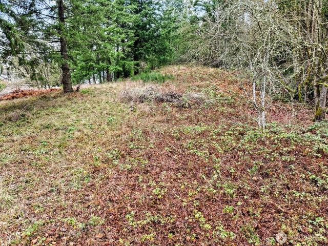 Land for sale in Thurston, Washington