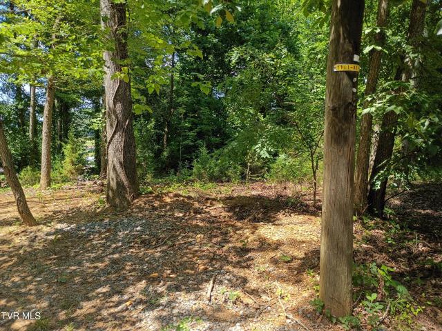 Land for sale in Tennessee