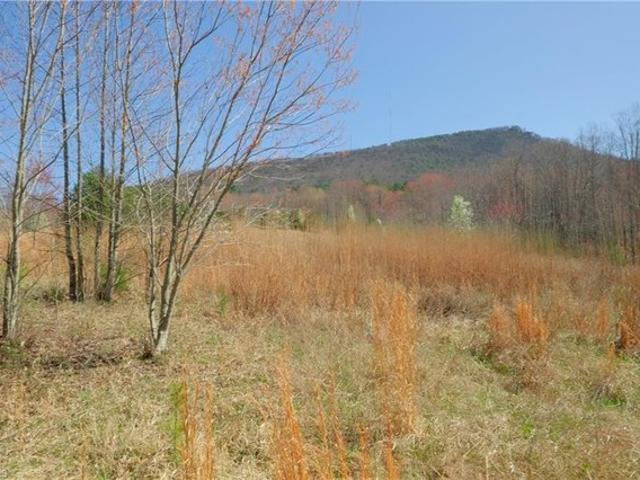 Land for sale in Pinnacle, Stokes County