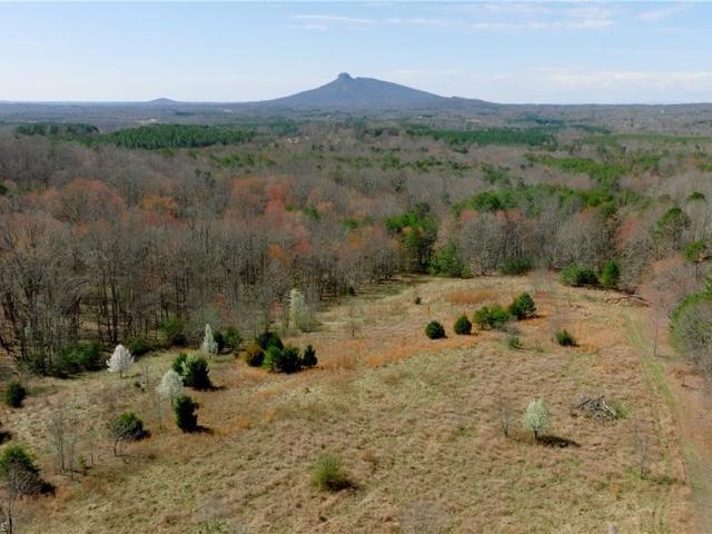 Land for sale in Flat Rock, Stokes County