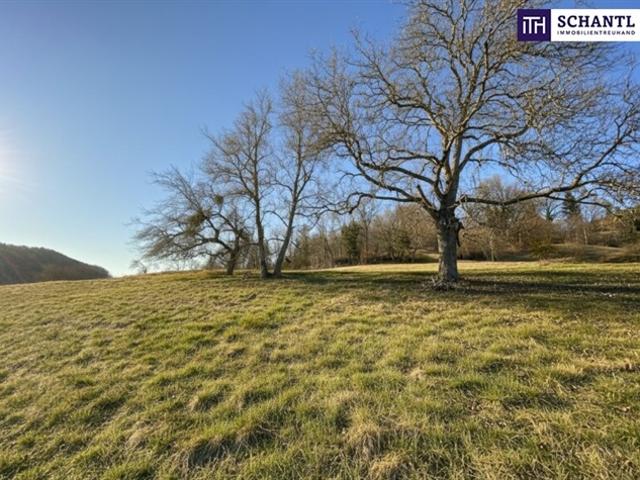Grundstück kaufen in Deutschfeistritz, Steiermark