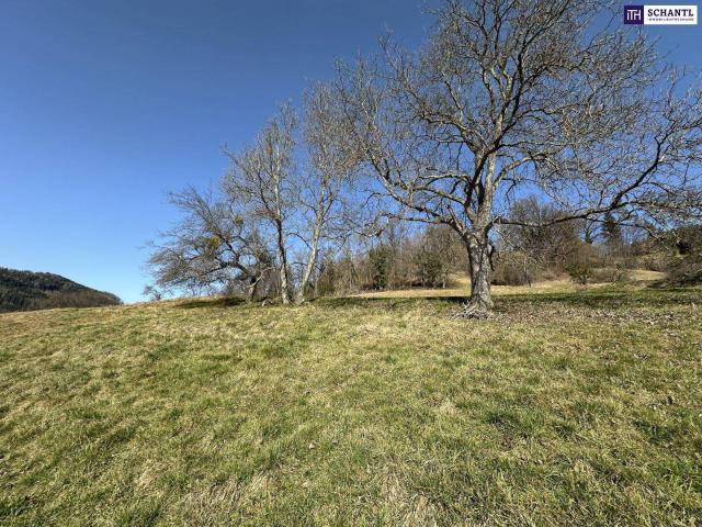 Immobilie kaufen in Deutschfeistritz, Steiermark