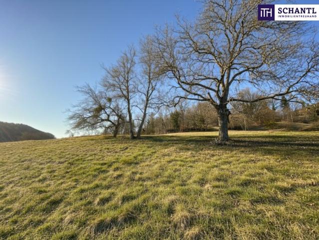 Grundstück kaufen in Deutschfeistritz, Steiermark