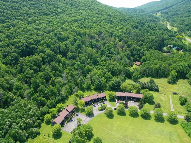 Condo for sale in Naples, New York