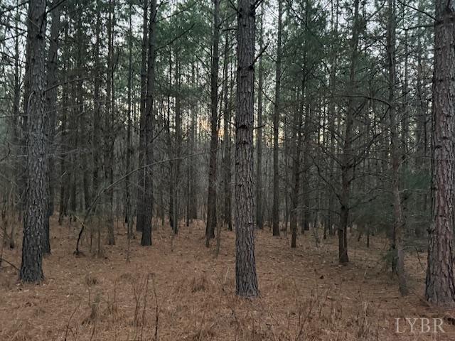 Land for sale in Virginia