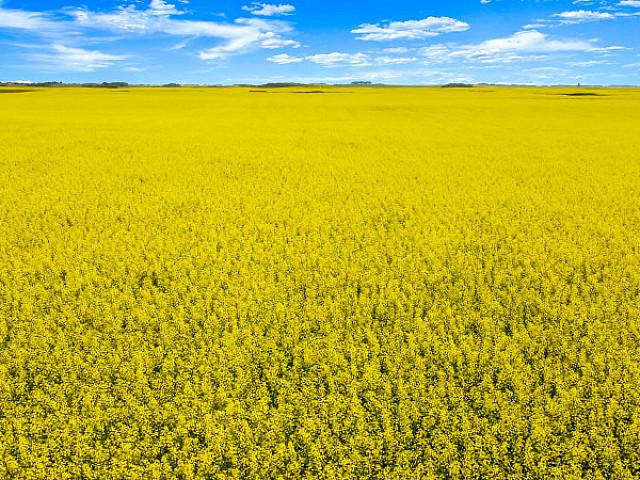 Land for sale in Lipton, Saskatchewan