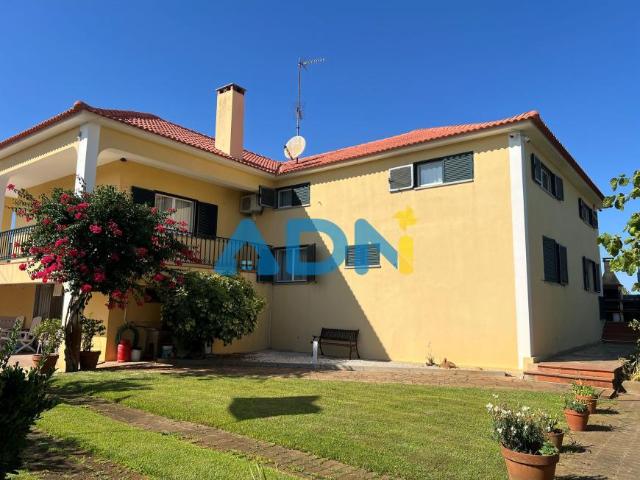 Casa venda em Castelo Branco