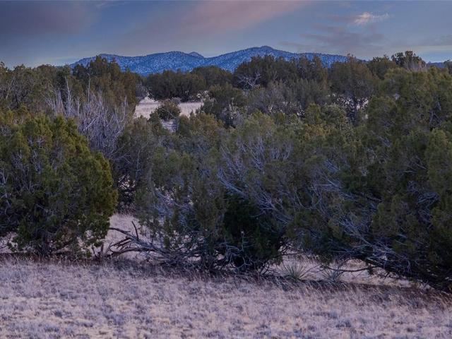 Land for sale in New Mexico