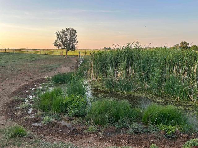 Land for sale in Montezuma, Colorado