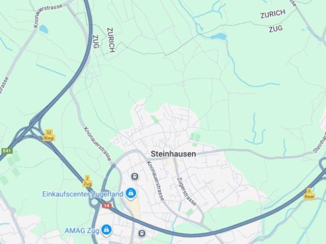 Wohnung kaufen in Steinhausen, Zug