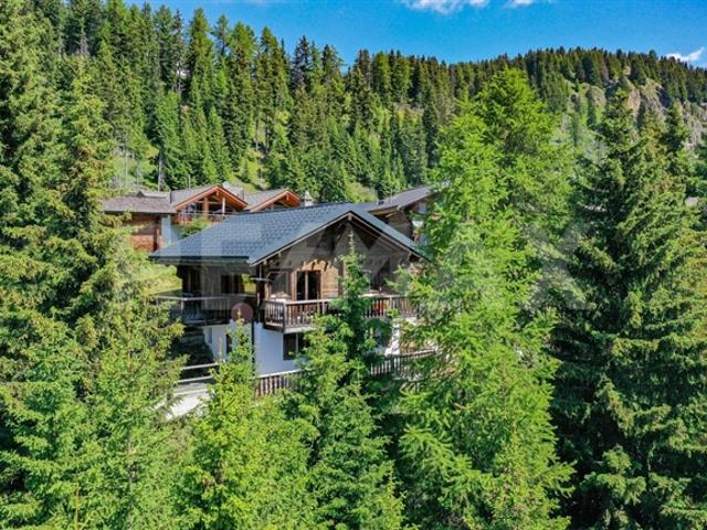 Einfamilienhaus kaufen in Riederalp, Wallis
