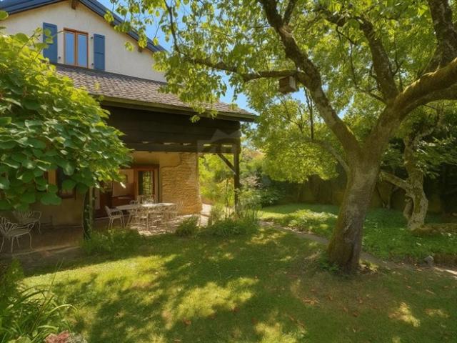 Einfamilienhaus kaufen in Onex