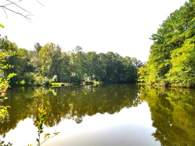 Land for sale in Elloree, Calhoun County