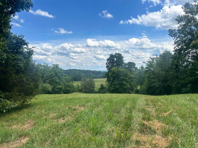 Land for sale in Columbia, Kentucky