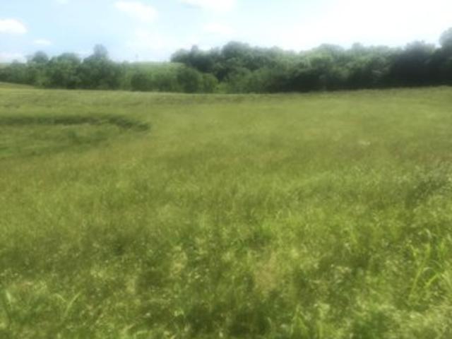 Farm for sale in Bloomfield, Nelson County