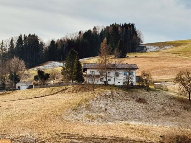Haus kaufen in Alm, Regau