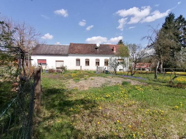 Haus kaufen in Burgenland