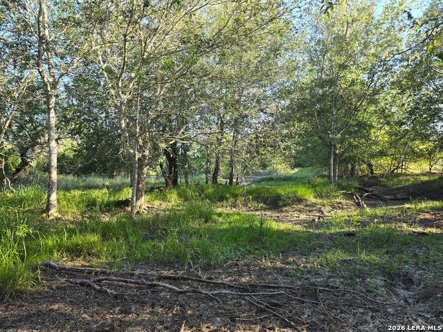 Land for sale in Pleasanton, Atascosa County