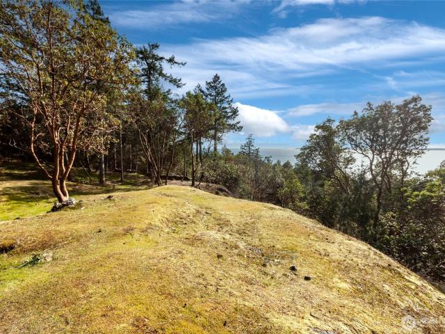 Land for sale in Friday Harbor, San Juan County