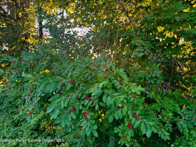 Land for sale in Claverack, New York
