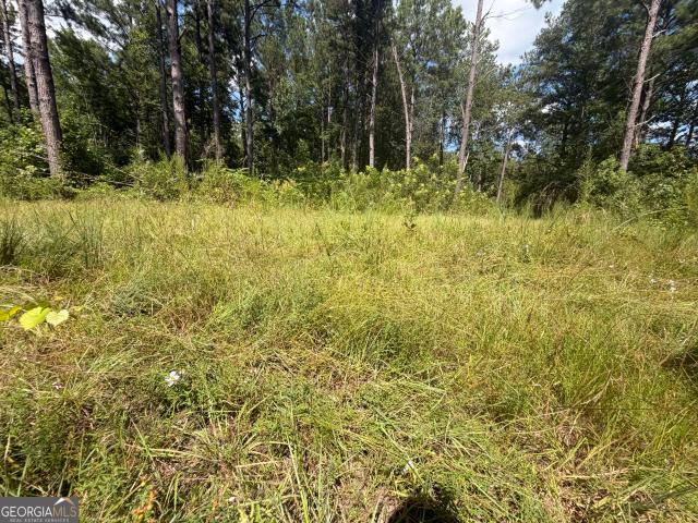 Land for sale in Davisboro, Georgia