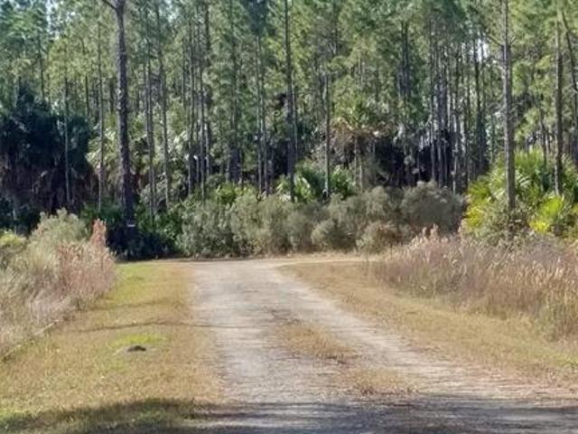 Land for sale in Cedar Key, Florida