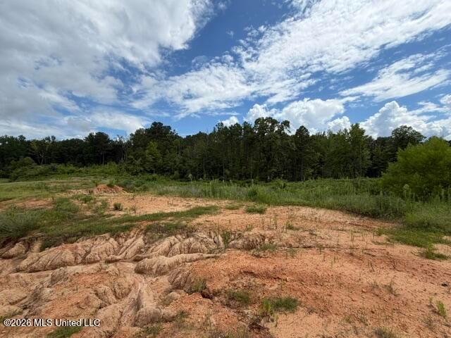 Land for sale in Byhalia, Mississippi