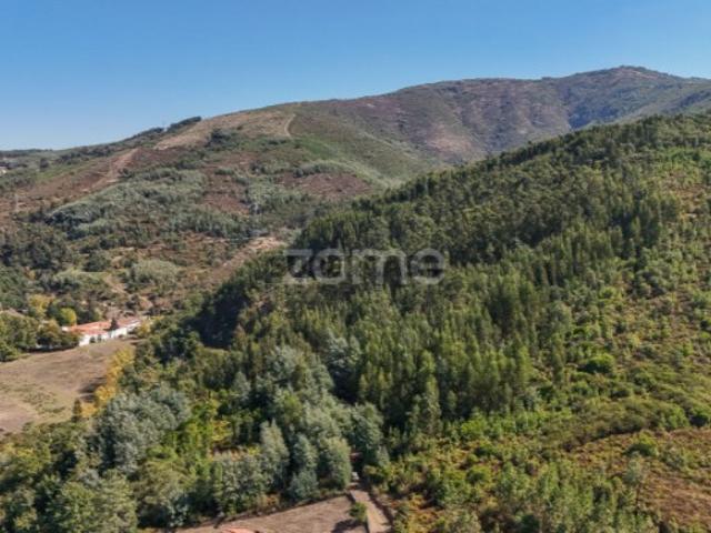 Terreno venda em Arganil, Folques